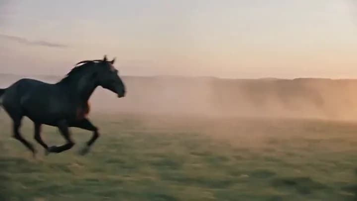 HappyHorse 1.1